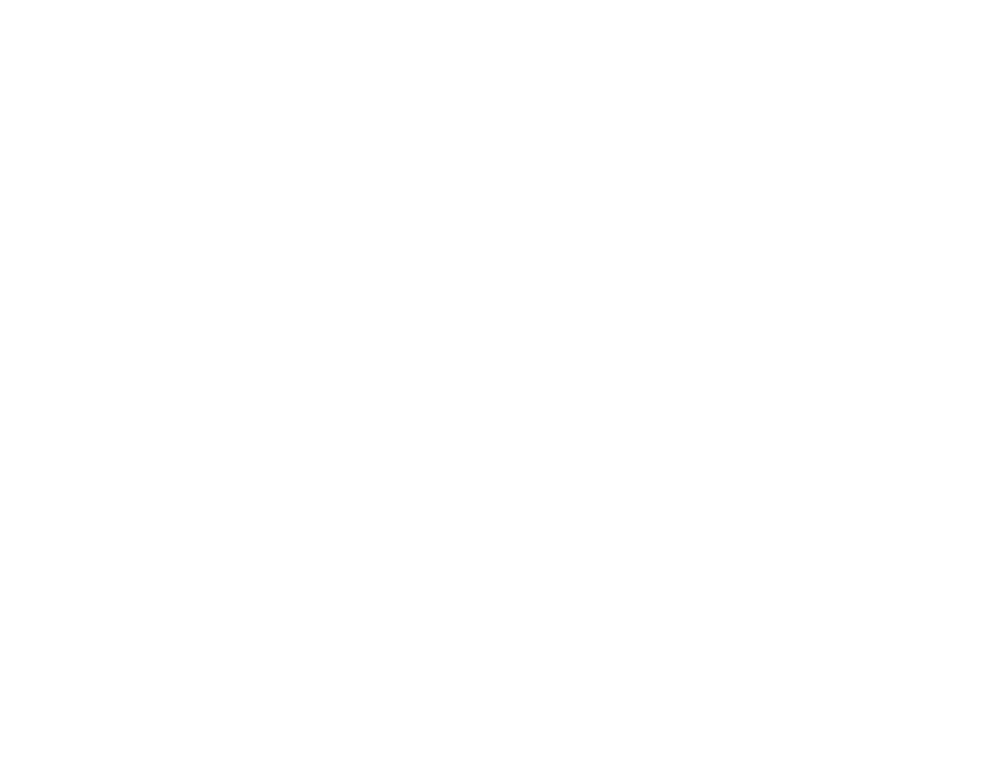 Blue Skies Space logo